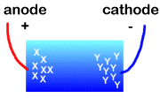 Anode and cathode diagram